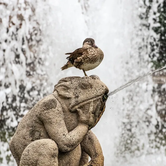 Sculpture