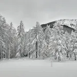 A Quick “Under the Weather” Post