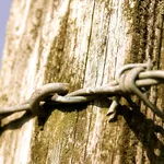 Why You Need to Respond to Every Client Email