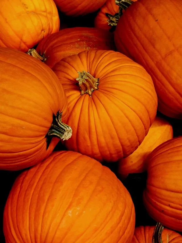 original_Marian-Parsons-Thanksgiving-rustic-organic-table-setting-gourds-magnolia-leaves_3x4.jpg.rend.hgtvcom.966.1288
